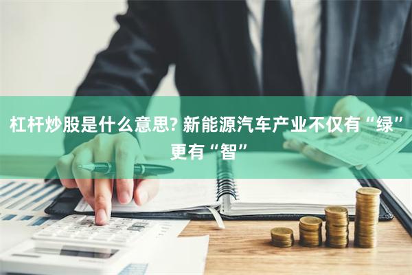 杠杆炒股是什么意思? 新能源汽车产业不仅有“绿” 更有“智”