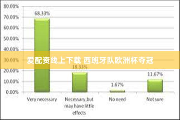 爱配资线上下载 西班牙队欧洲杯夺冠