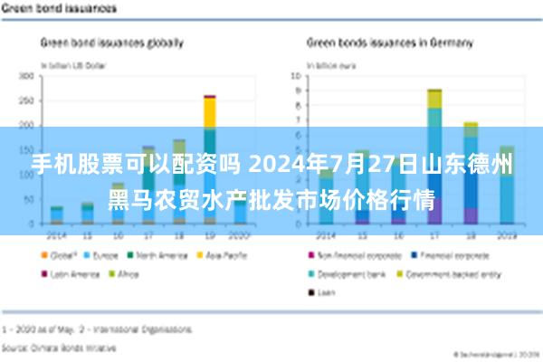 手机股票可以配资吗 2024年7月27日山东德州黑马农贸水产批发市场价格行情