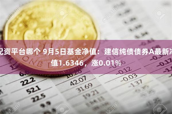 配资平台哪个 9月5日基金净值：建信纯债债券A最新净值1.6346，涨0.01%