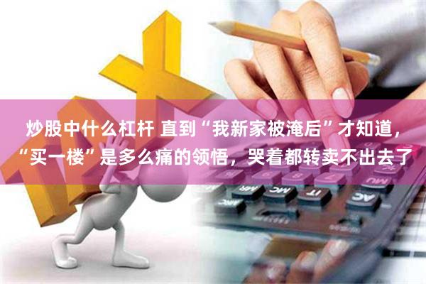 炒股中什么杠杆 直到“我新家被淹后”才知道，“买一楼”是多么