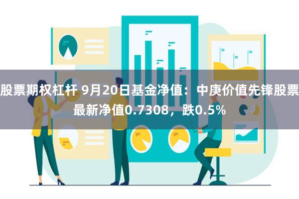 股票期权杠杆 9月20日基金净值：中庚价值先锋股票最新净值0.7308，跌0.5%