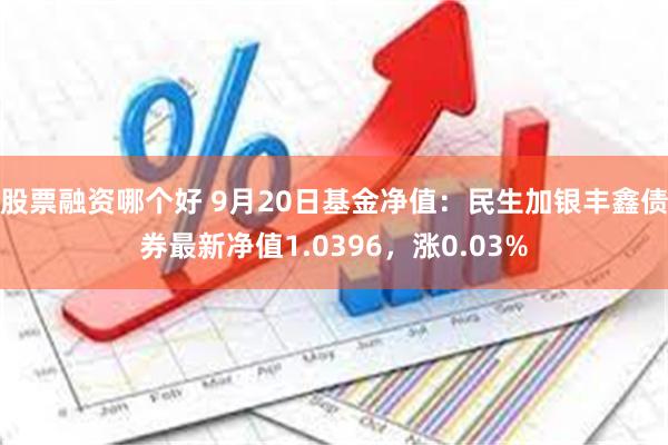 股票融资哪个好 9月20日基金净值：民生加银丰鑫债券最新净值1.0396，涨0.03%