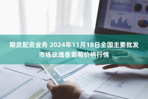 期货配资业务 2024年11月18日全国主要批发市场玫瑰香葡