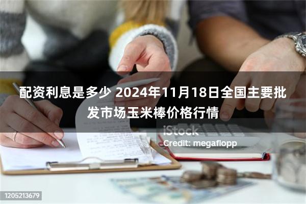 配资利息是多少 2024年11月18日全国主要批发市场玉米棒