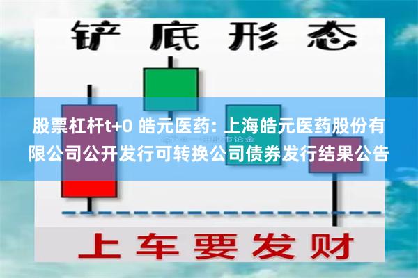 股票杠杆t+0 皓元医药: 上海皓元医药股份有限公司公开发行可转换公司债券发行结果公告