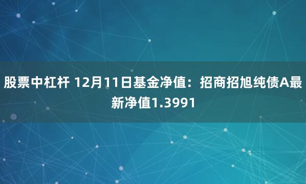 股票中杠杆 12月11日基金净值：招商招旭纯债A最新净值1.3991