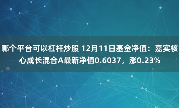 哪个平台可以杠杆炒股 12月11日基金净值：嘉实核心成长混合A最新净值0.6037，涨0.23%