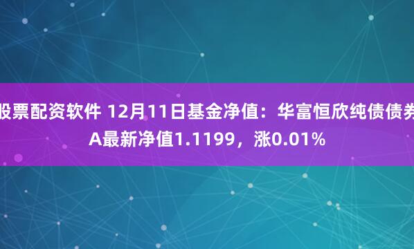 股票配资软件 12月11日基金净值：华富恒欣纯债债券A最新净值1.1199，涨0.01%