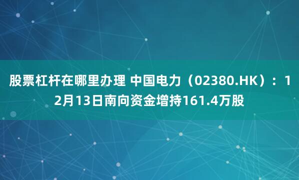 股票杠杆在哪里办理 中国电力（02380.HK）：12月13日南向资金增持161.4万股