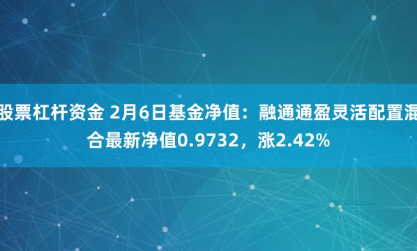 股票杠杆资金 2月6日基金净值：融通通盈灵活配置混合最新净值0.9732，涨2.42%