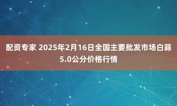 配资专家 2025年2月16日全国主要批发市场白蒜5.0公分价格行情