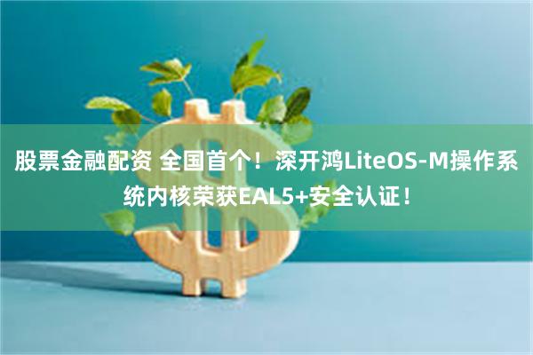 股票金融配资 全国首个！深开鸿LiteOS-M操作系统内核荣获EAL5+安全认证！