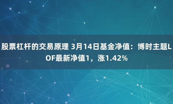 股票杠杆的交易原理 3月14日基金净值：博时主题LOF最新净值1，涨1.42%