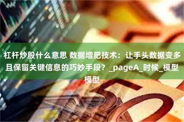 杠杆炒股什么意思 数据增肥技术：让手头数据变多且保留关键信息的巧妙手段？_pageA_时候_模型
