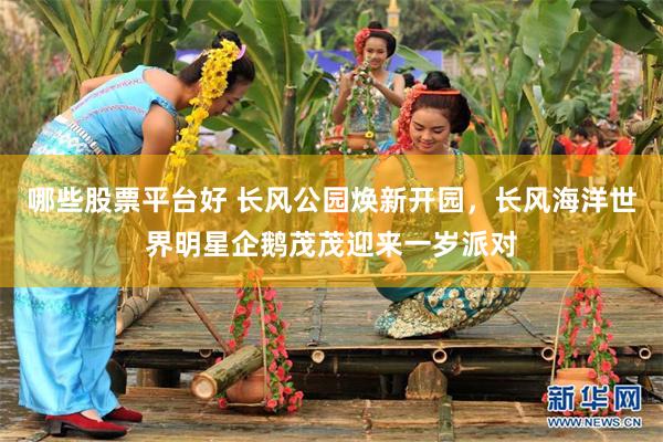 哪些股票平台好 长风公园焕新开园，长风海洋世界明星企鹅茂茂迎来一岁派对